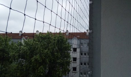 Installation de dispositif anti-pigeons sur Evry-Courcouronnes!